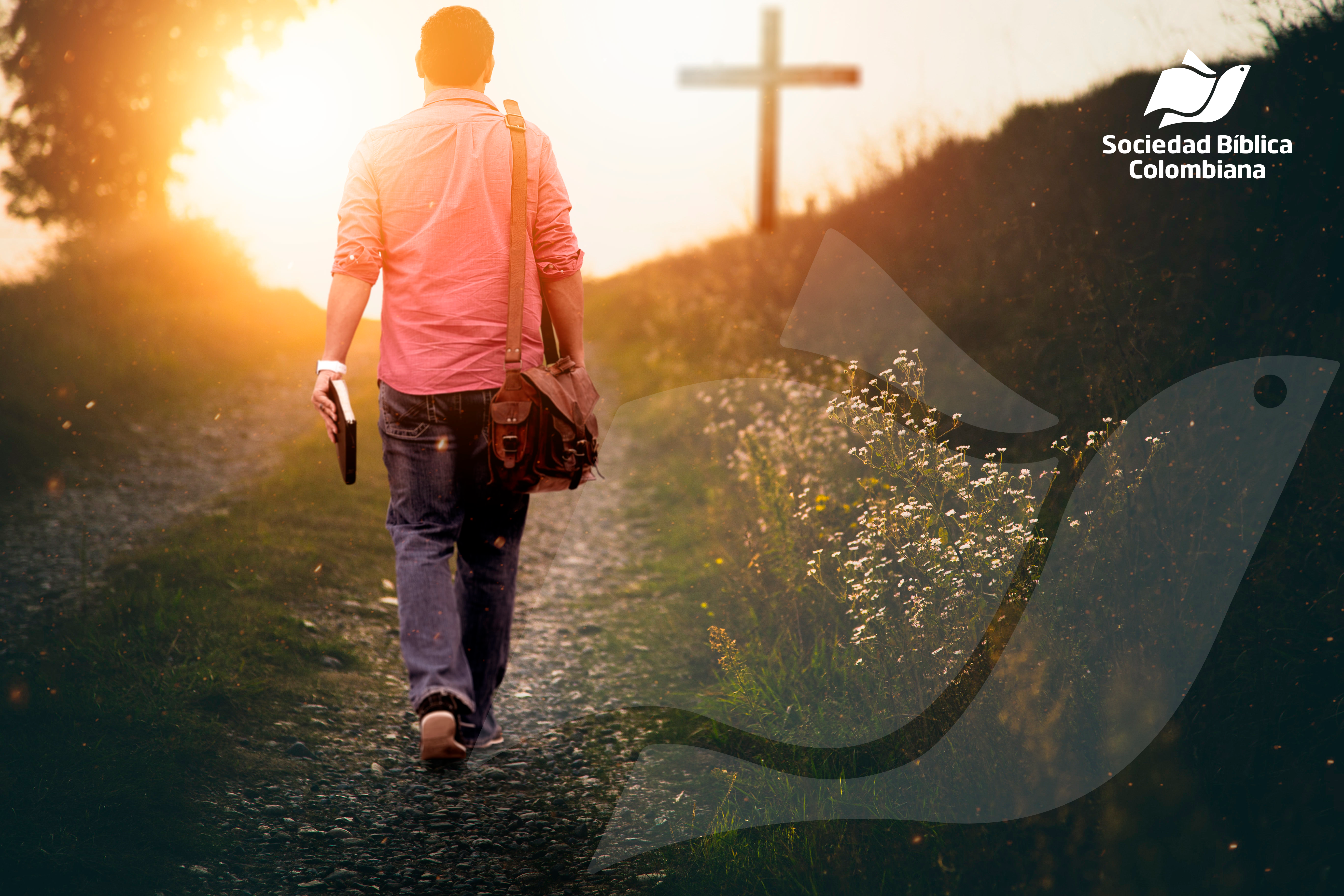male-holding-the-bible-walking-up-to-the-hill-towa-2023-11-27-05-12-52-utc baja